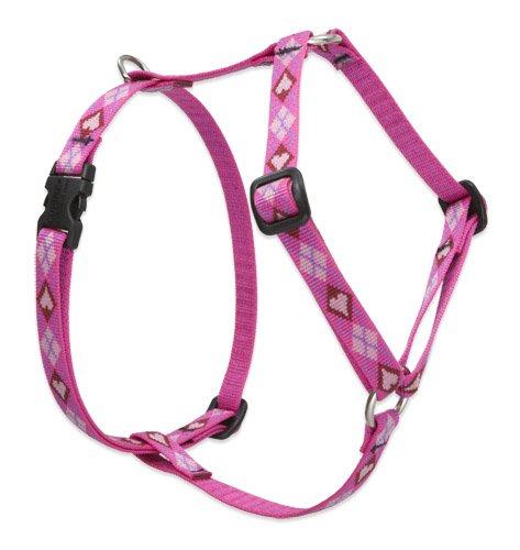 Dog Harness