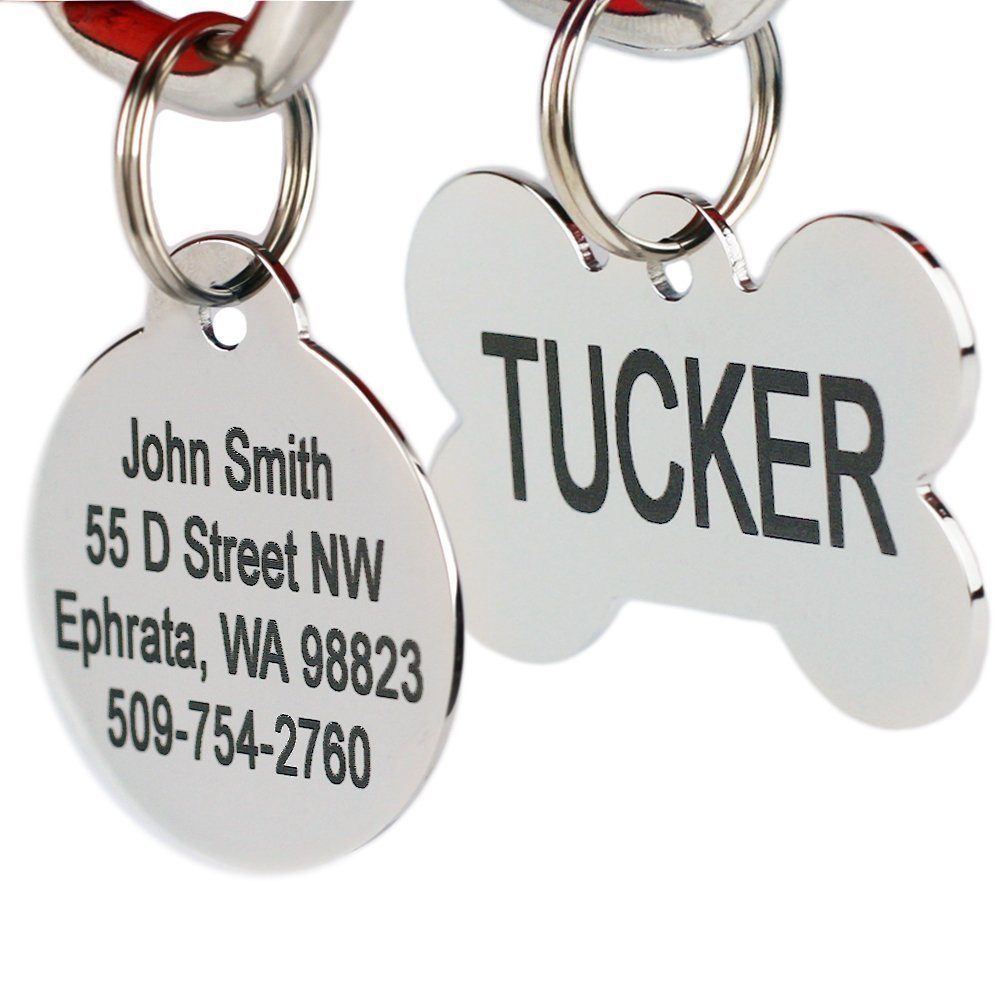 Silver dog tags