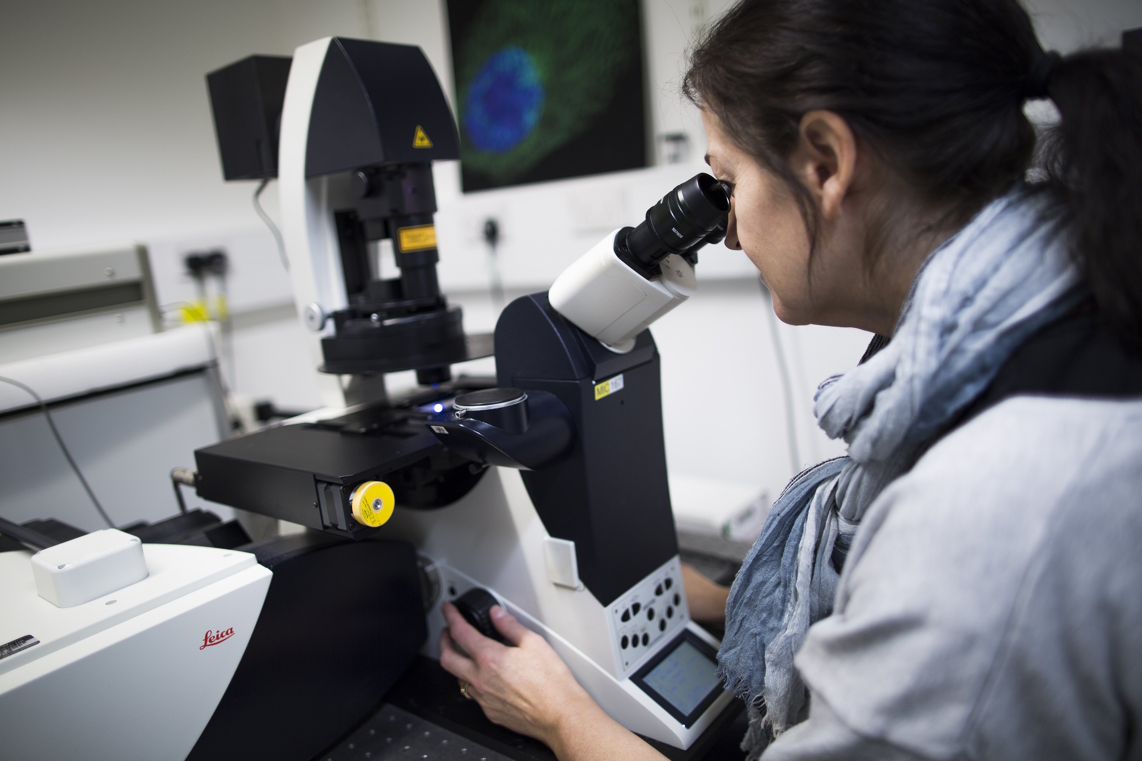 Scientist looking into a microscope