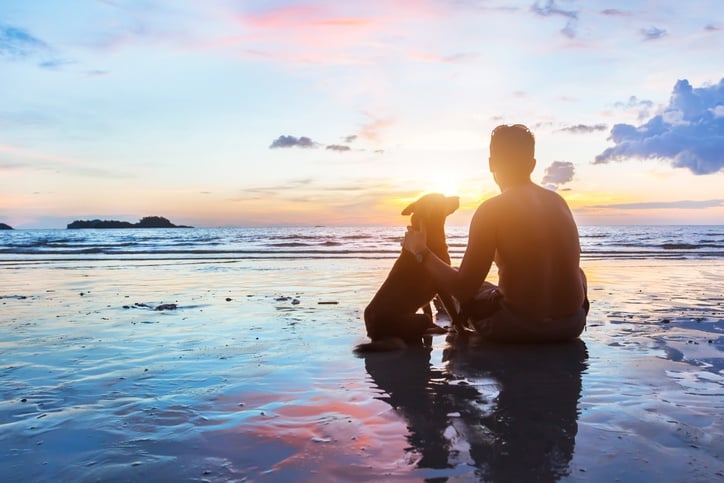 man and dog sitting together on the beach at sunset