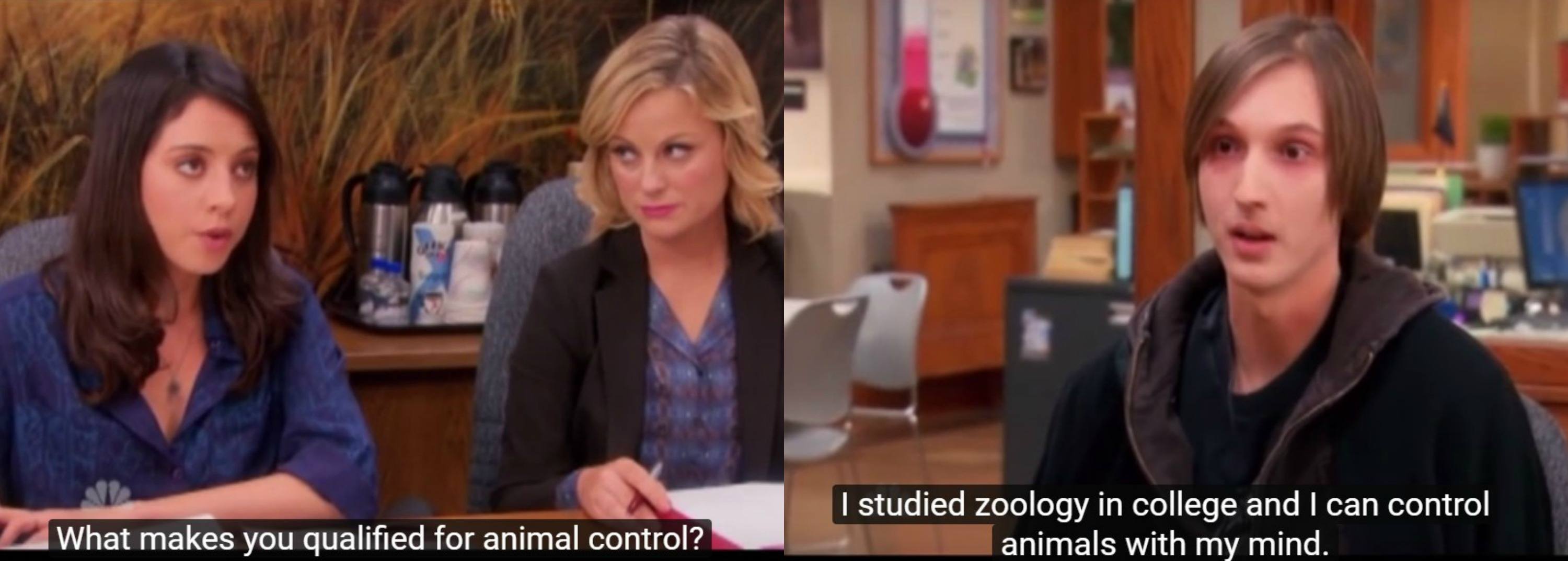 Parks and Recreation Leslie Knope