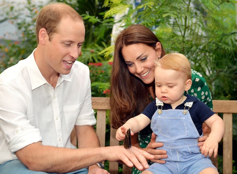 Prince Harry plays with a butterfly in front of Prince George.