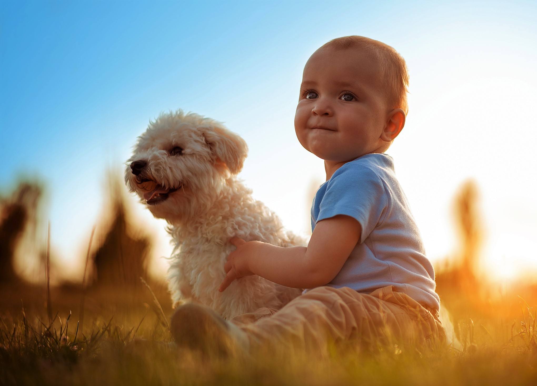 Baby and dog outside