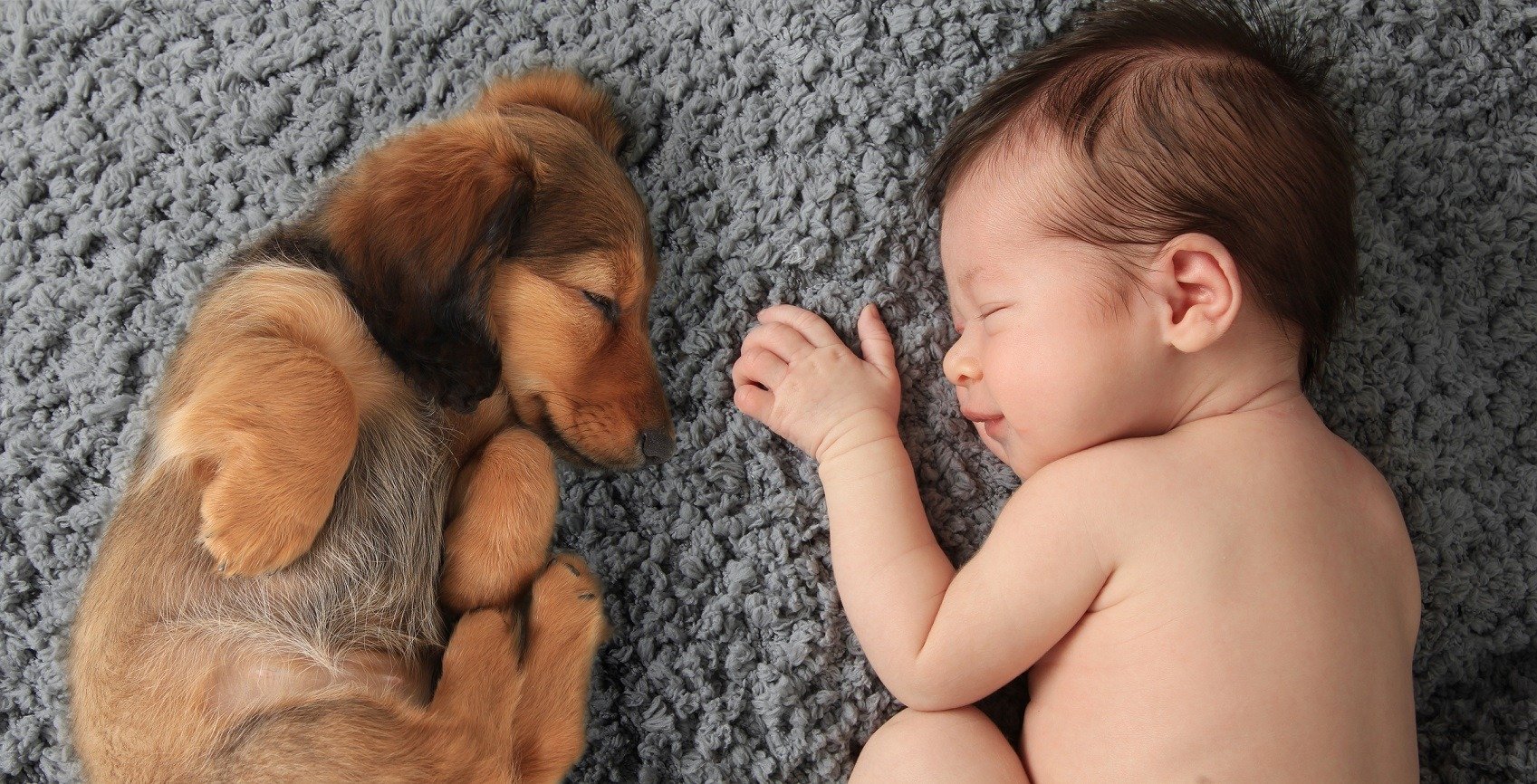 Newborn baby with dog