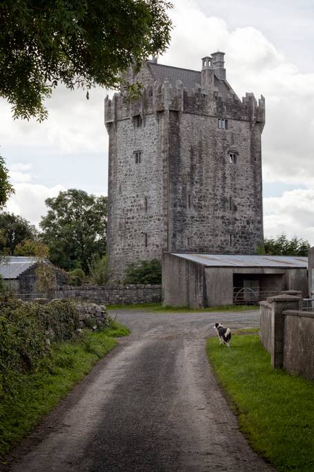 Castle Airbnb