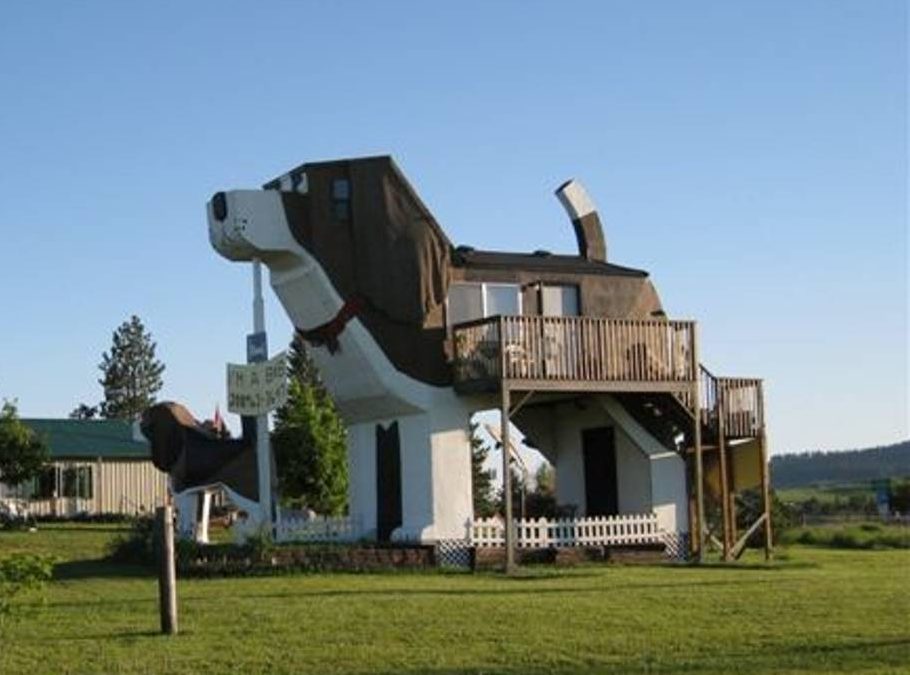 Dog hotel Airbnb