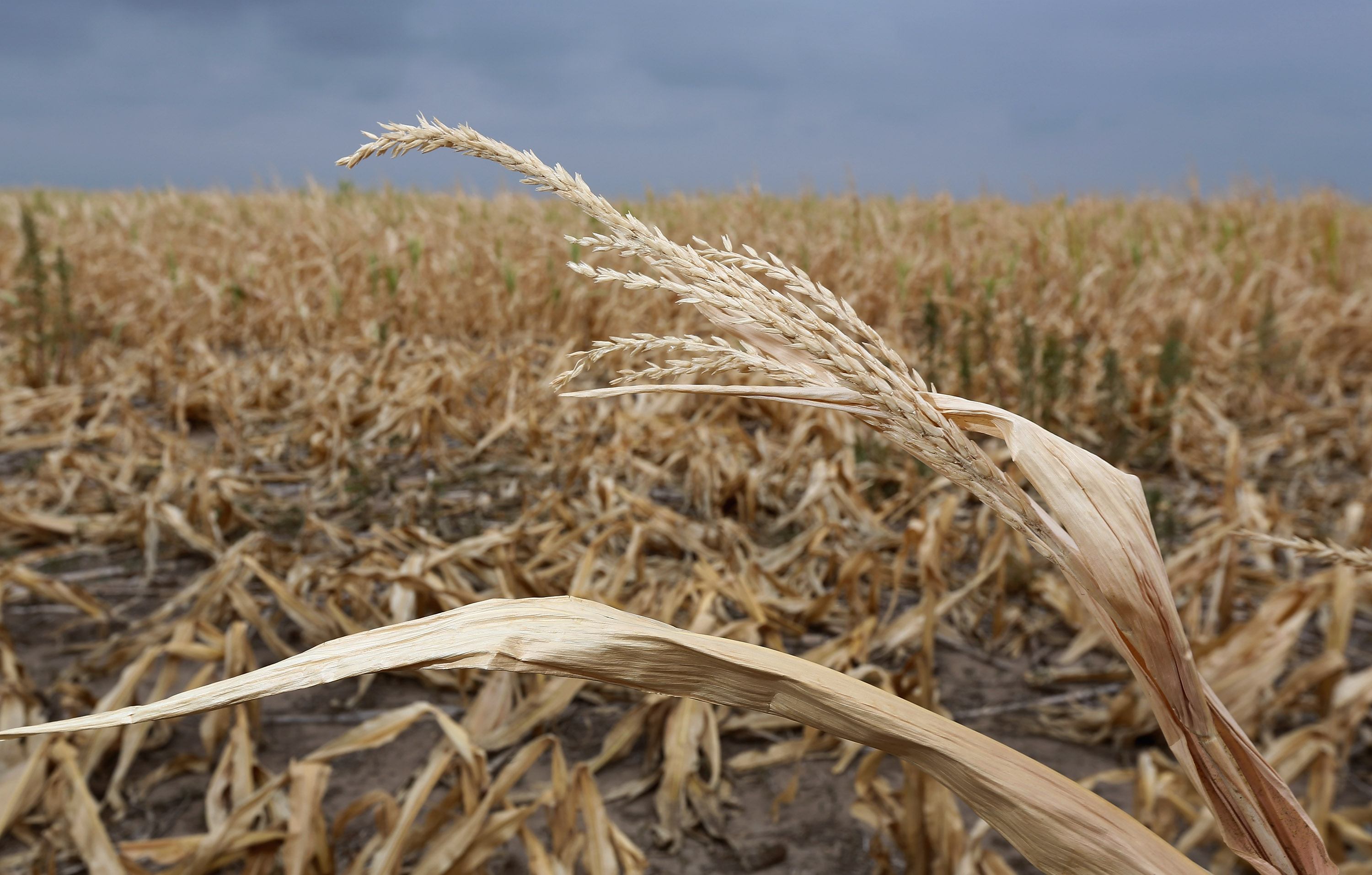 Kansas faces severe drought