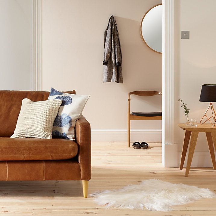 Throw pillows and rug