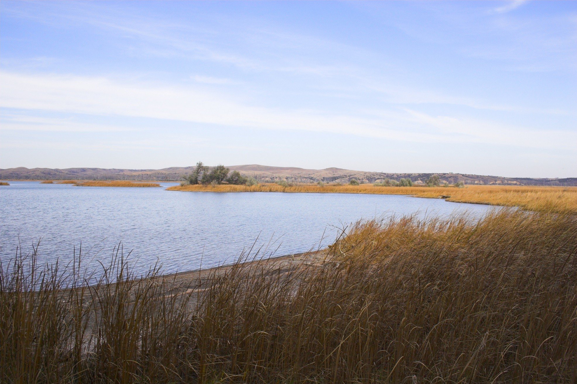 Lake prairie