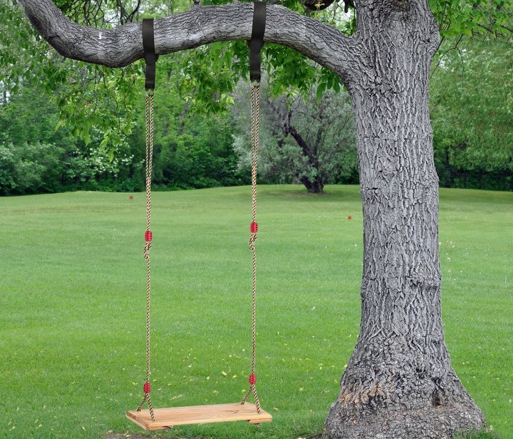 Rope swing on a tree