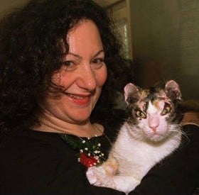 Scarlett the Brave cat