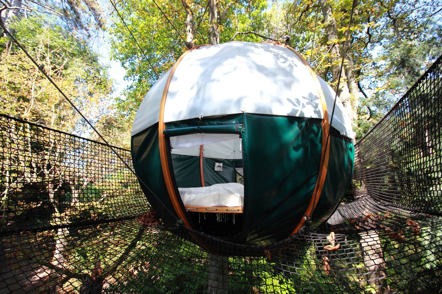 Round tree tent