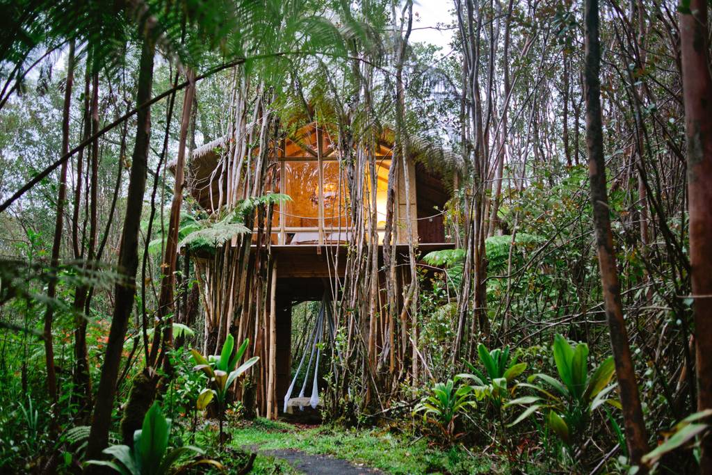 Hawaiian forest tree house