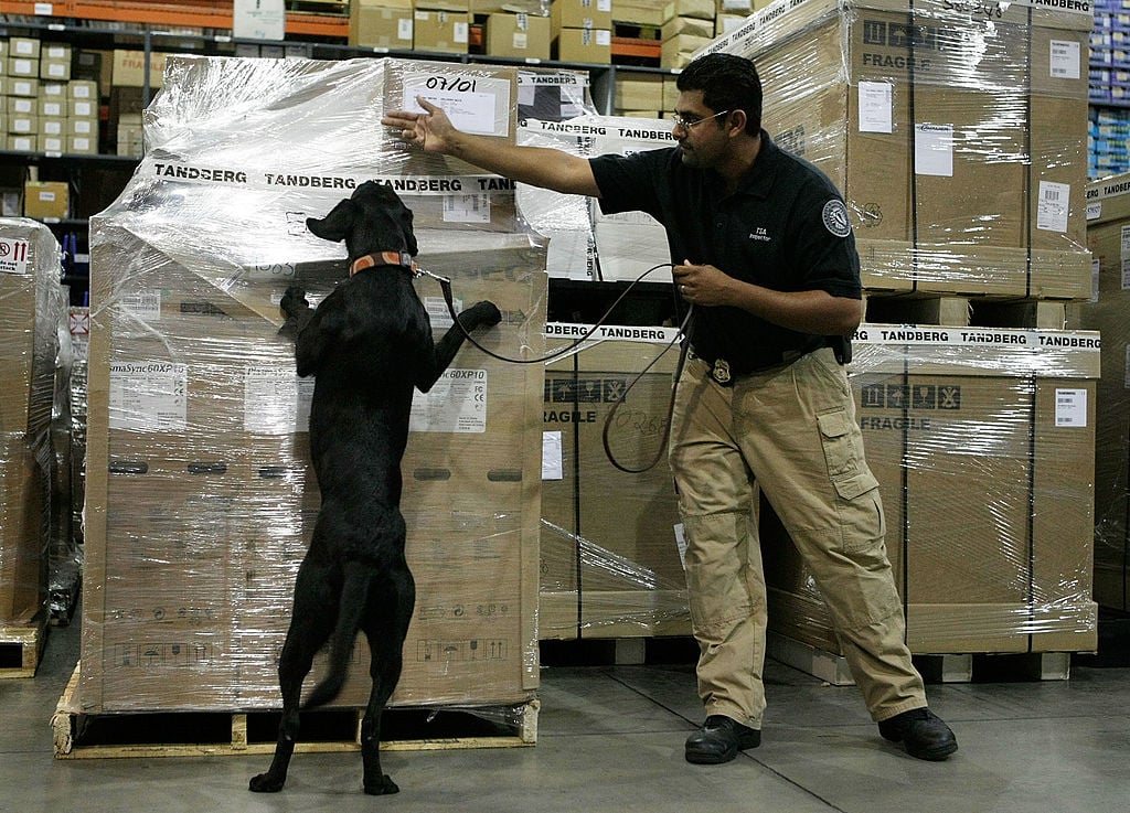 TSA bomb sniffing dog and handler