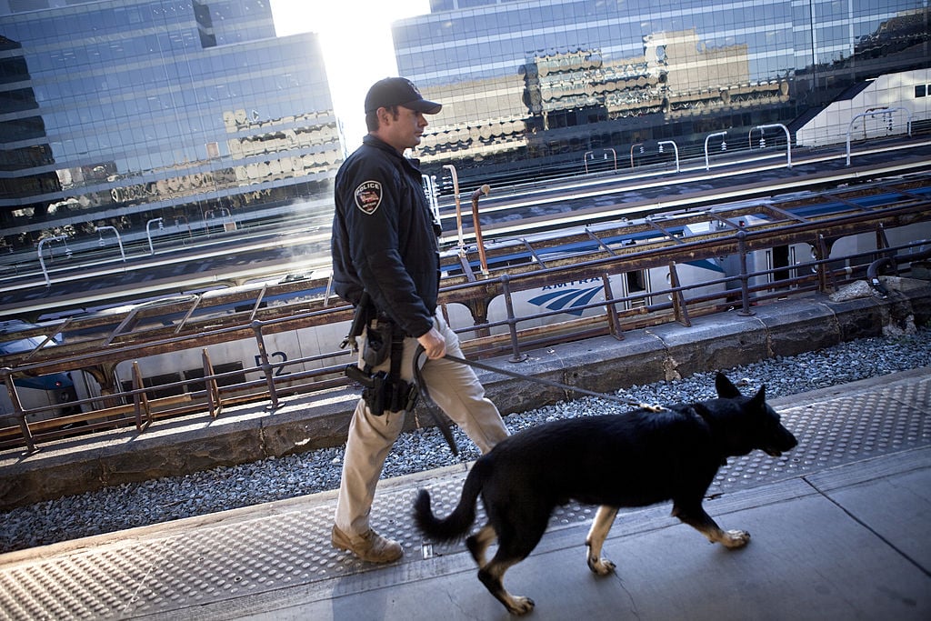 TSA dog