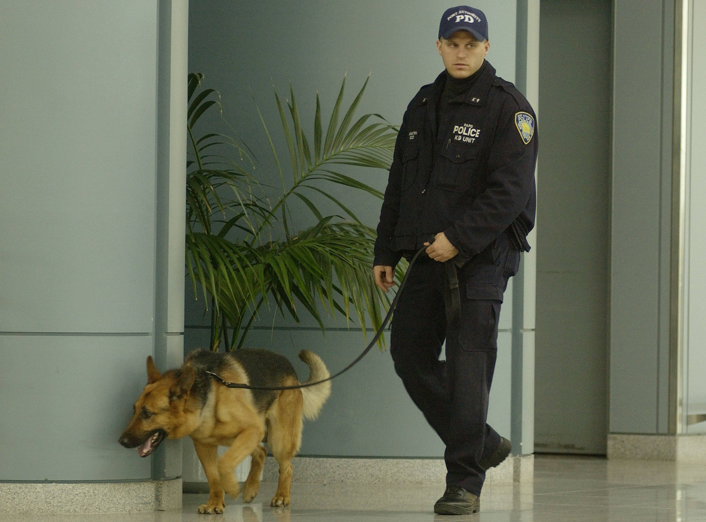 Canine TSA dog and partner