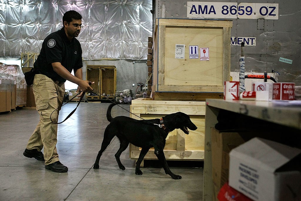 TSA bomb sniffing dog