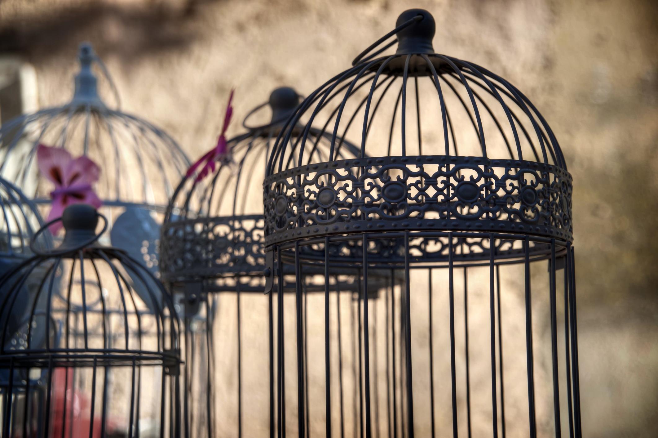 Vintage bird cages
