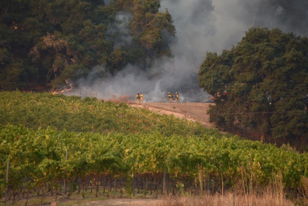 Firefighters protect a vineyard in Santa Rosa, Calif.