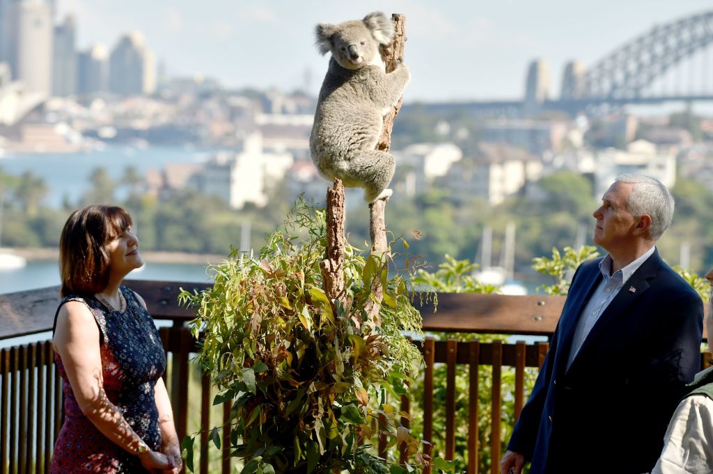 Mike and Karen Pence look up at a koala in Sydney