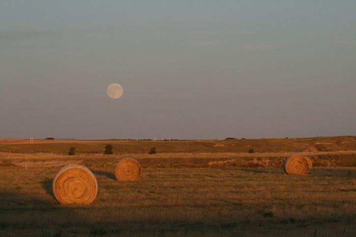 October harvest moon will illuminate the sky October harvest moon