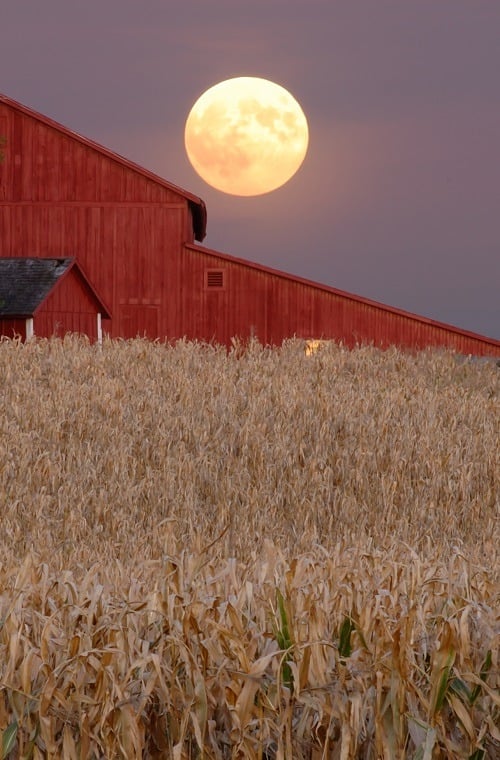 Harvest moon rises over a barn Harvest moon rises