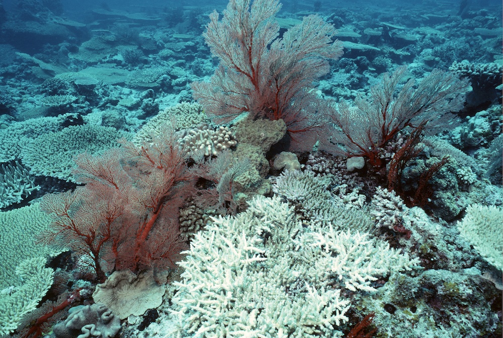 Kerama Islands, Japan