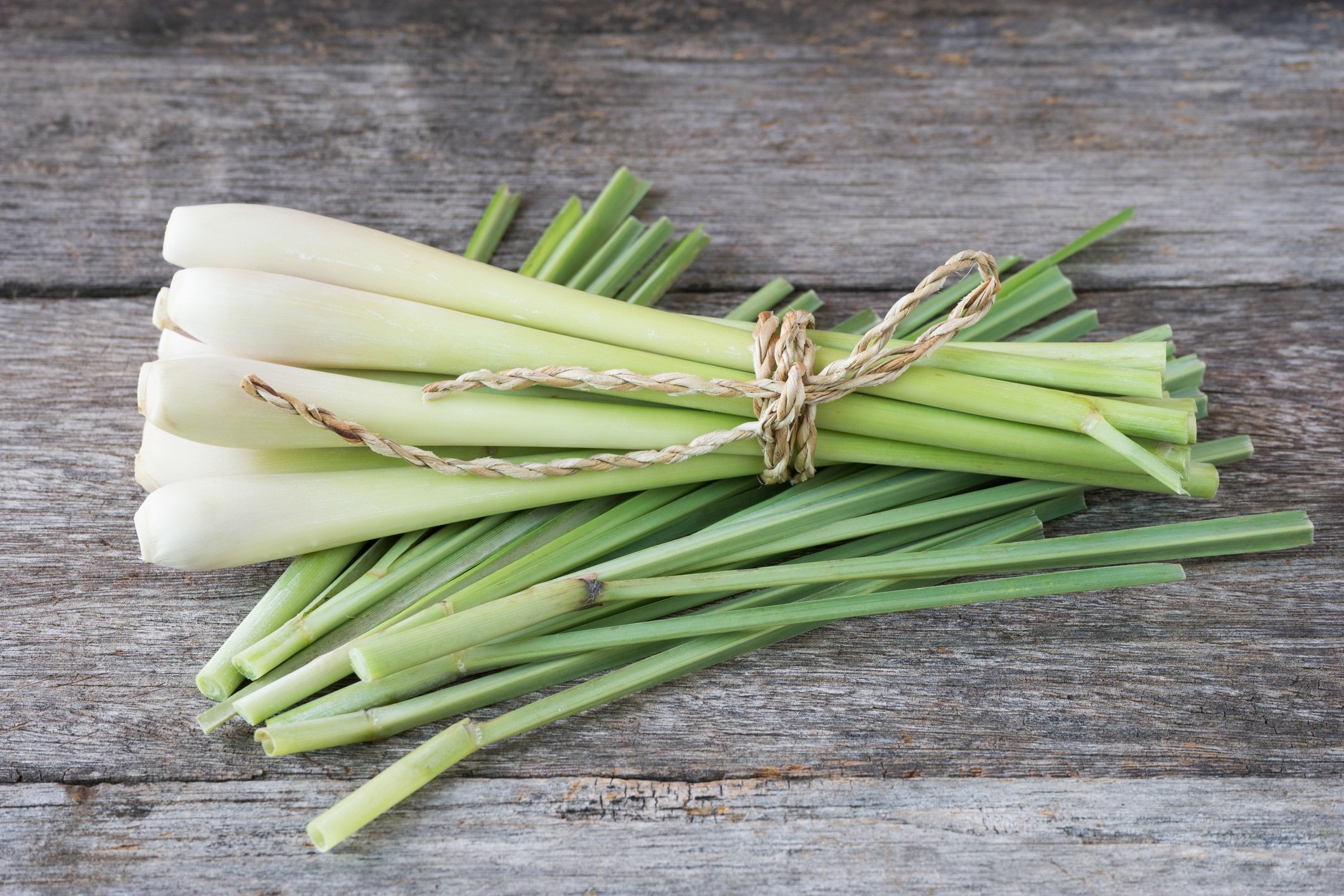 Fresh lemongrass
