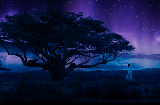 A visual of Wakanda in Black Panther A visual of Wakanda in Black Panther