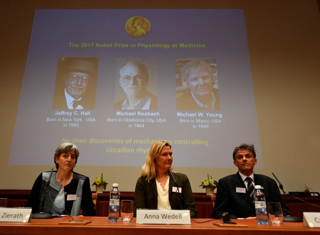 Nobel Prize winners pictured on a display on Oct. 2, 2017 Nobel Prize winners pictured on a display