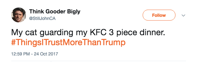 #ThingsITrustMoreThanTrump tweet #ThingsITrustMoreThanTrump tweet