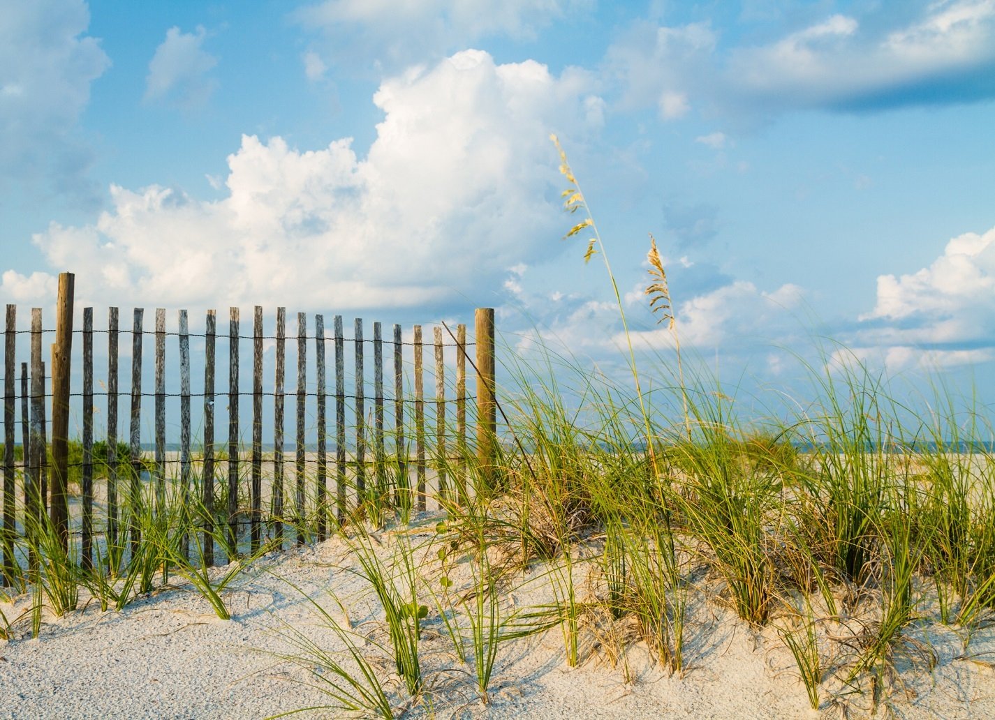 Amelia island