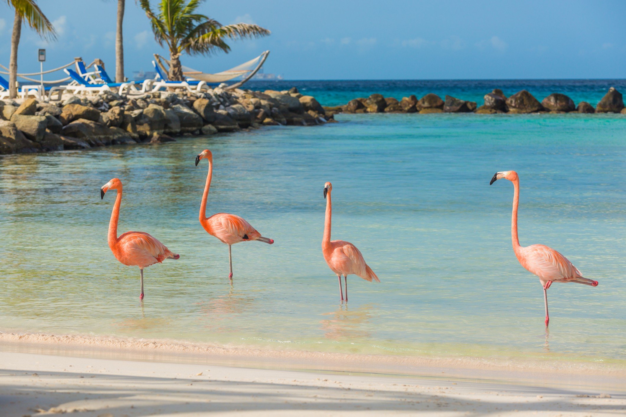 Aruba