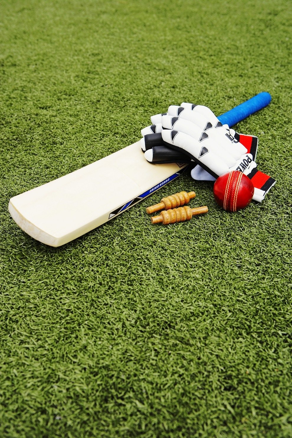 Cricket bat and gloves