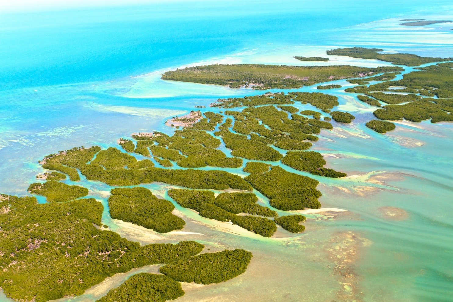 which island in the keys has the best beaches