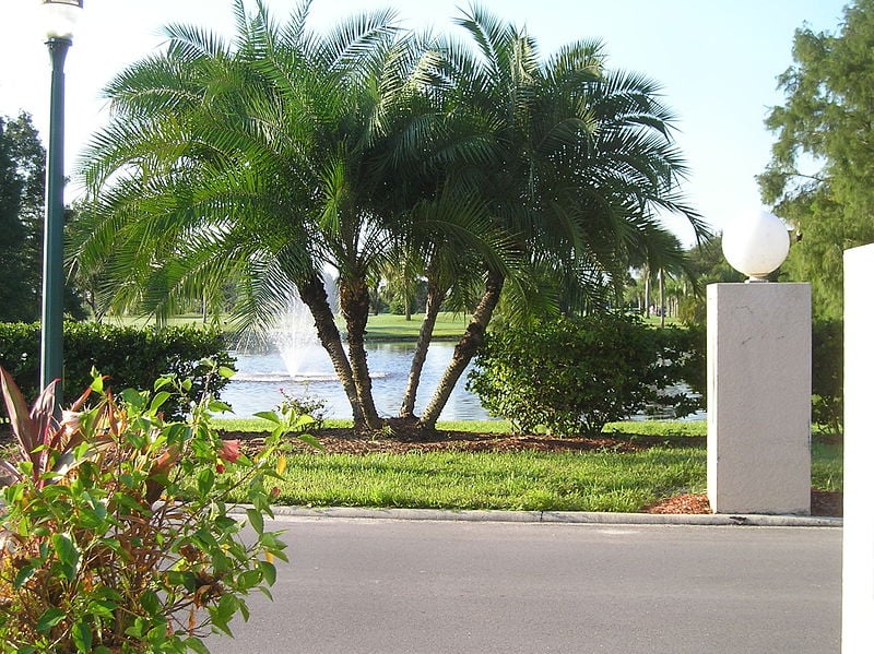 Lehigh Acres, Florida