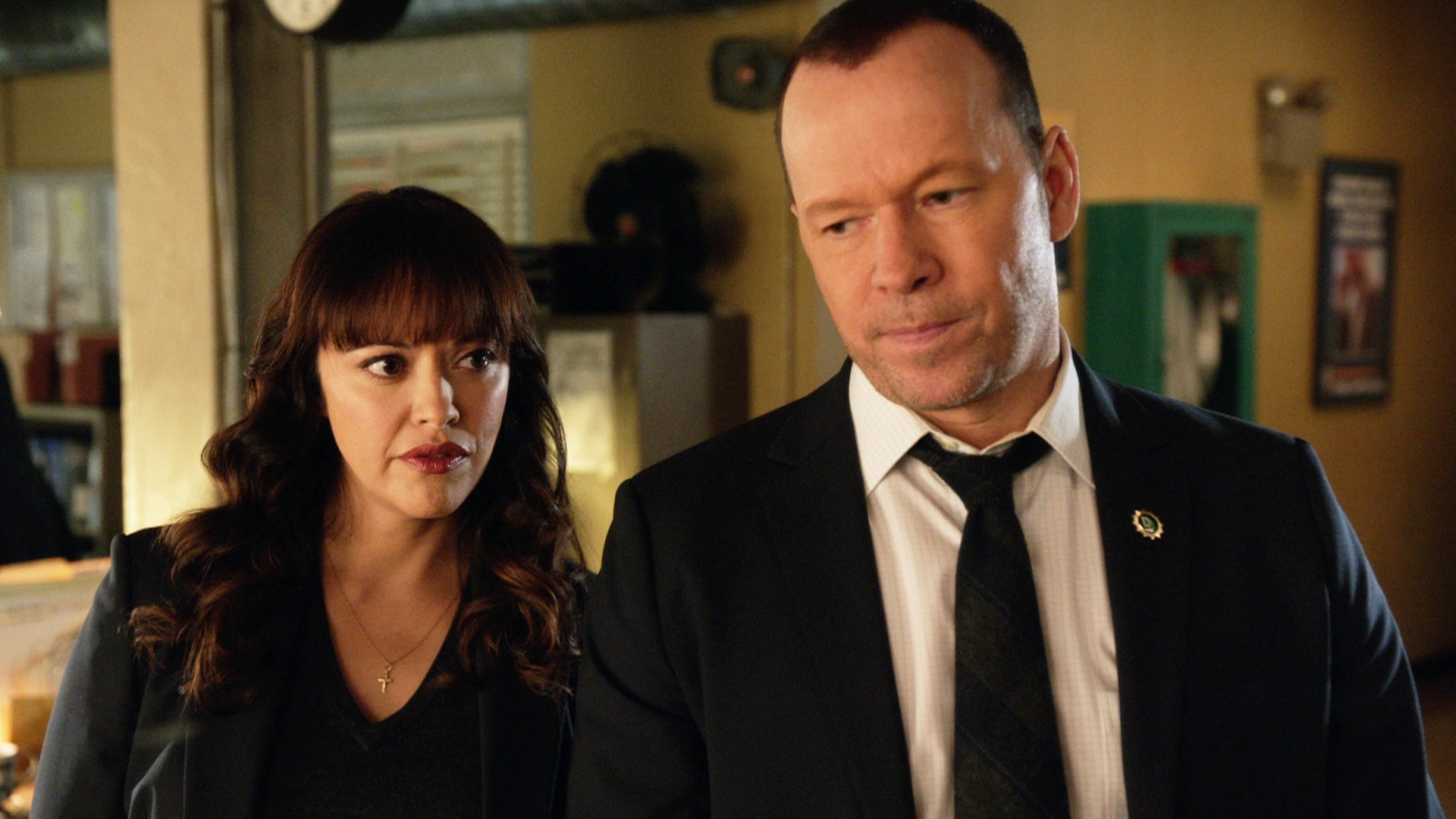 'Blue Bloods' Actors Who Have Starred in Other Popular Shows Besides