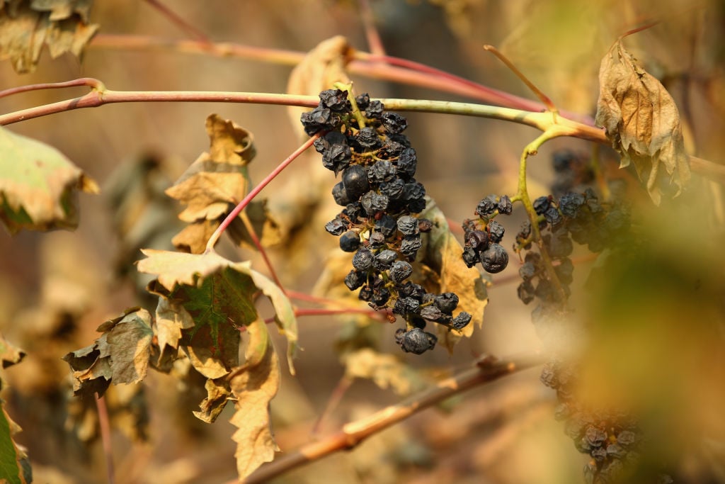 Wildfires in Napa Wine Country