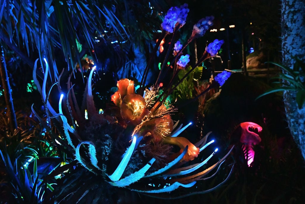 Pandora The World Of Avatar Dedication