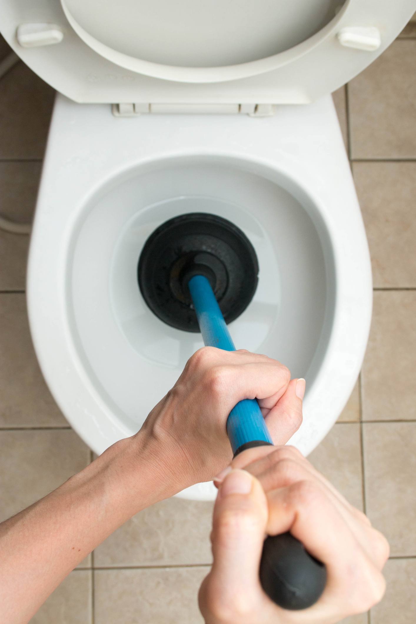 Clogged Toilet