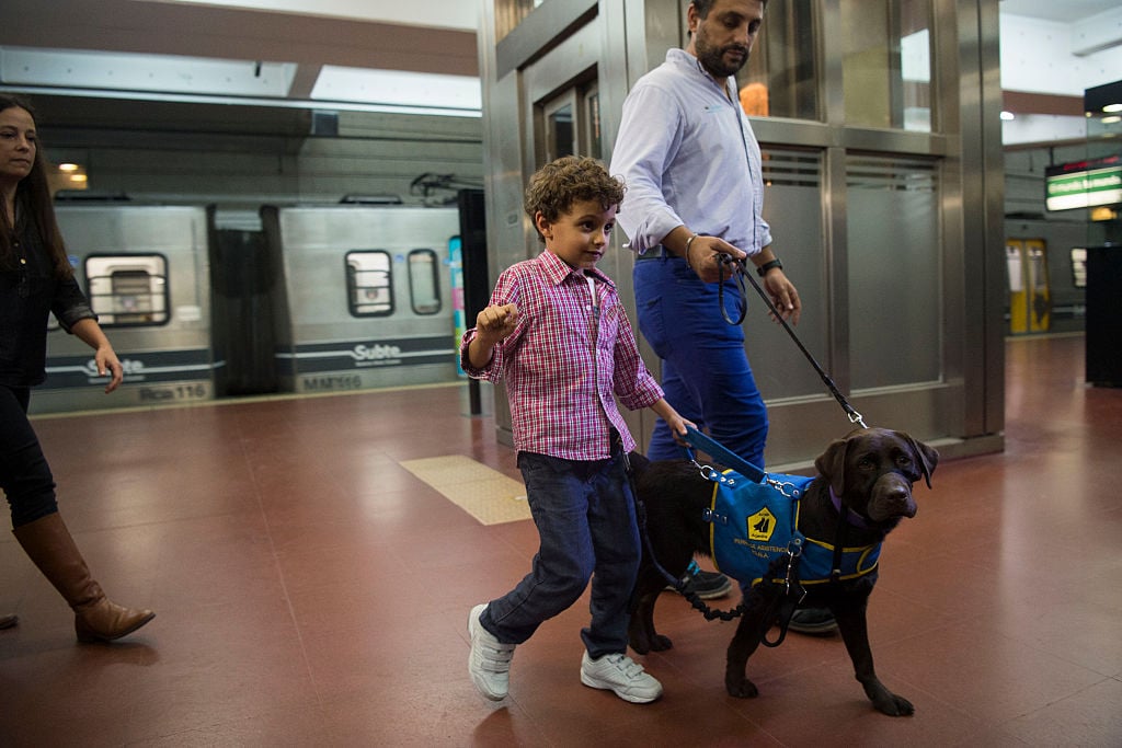 Autism Service Dog