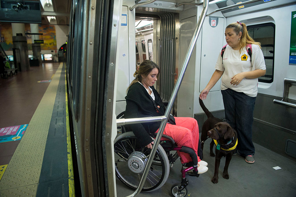Service Dog