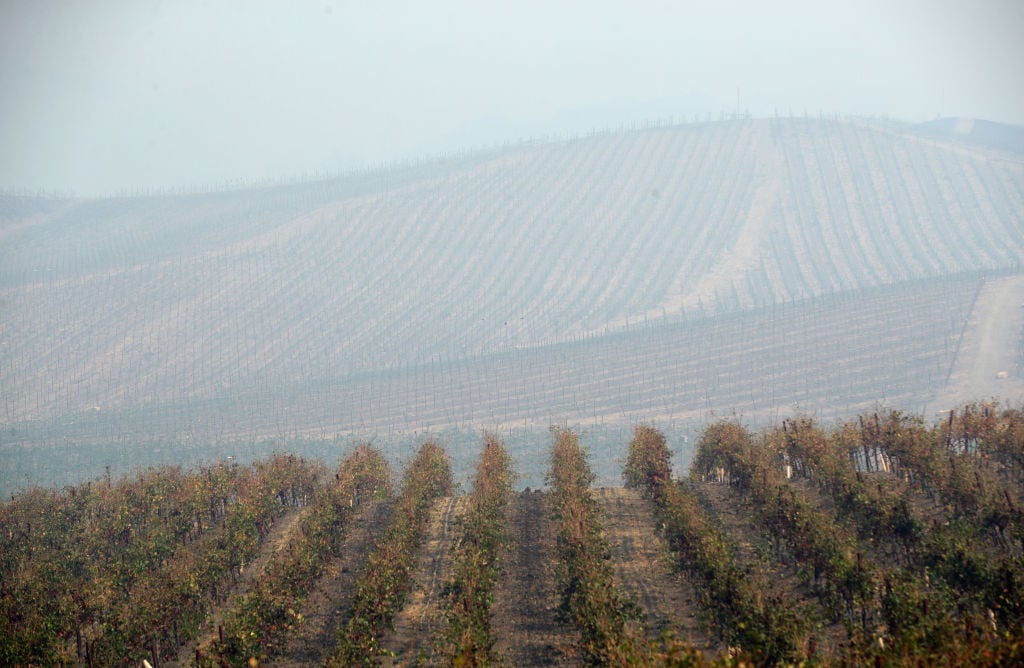 Napa fires