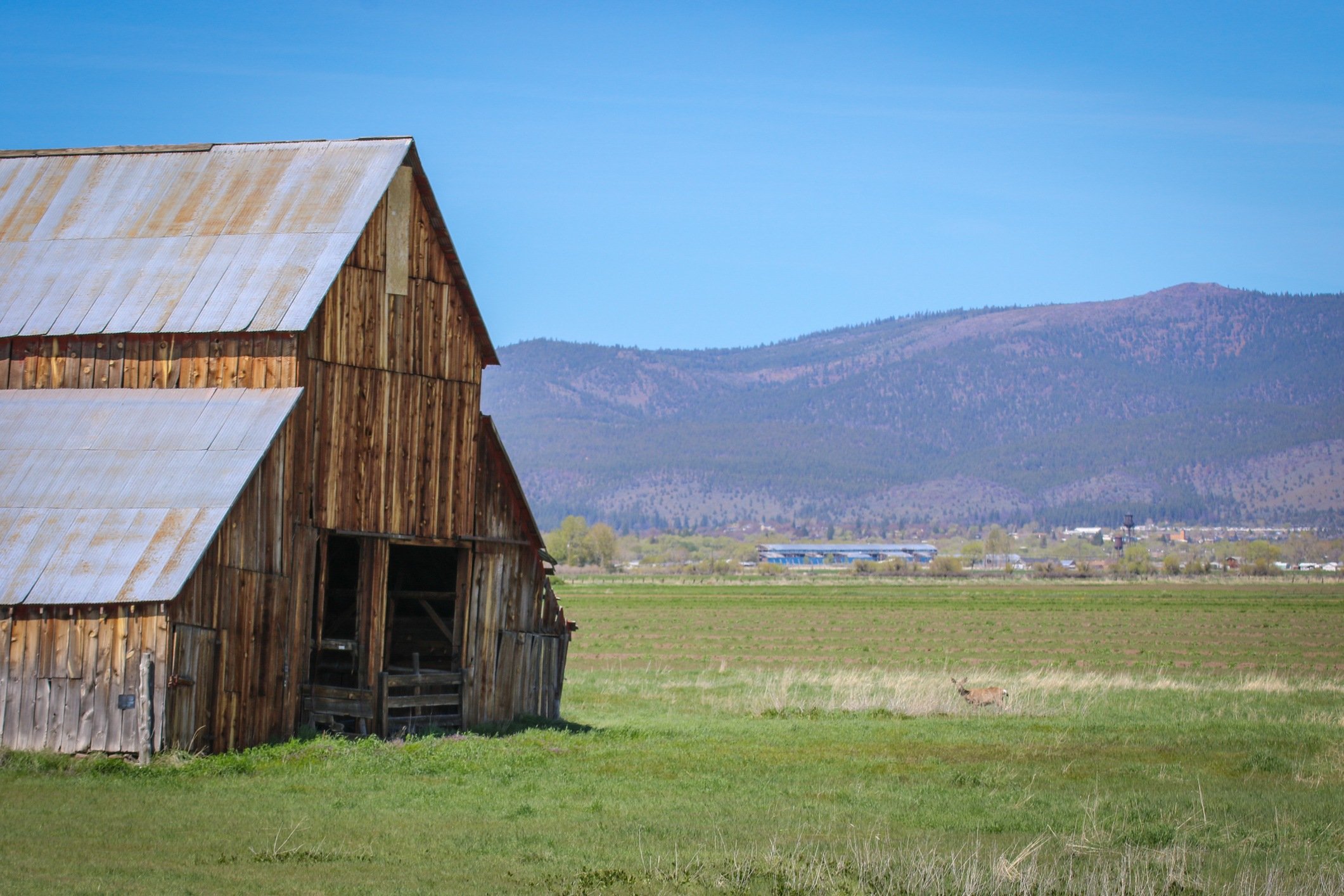 Susanville, California