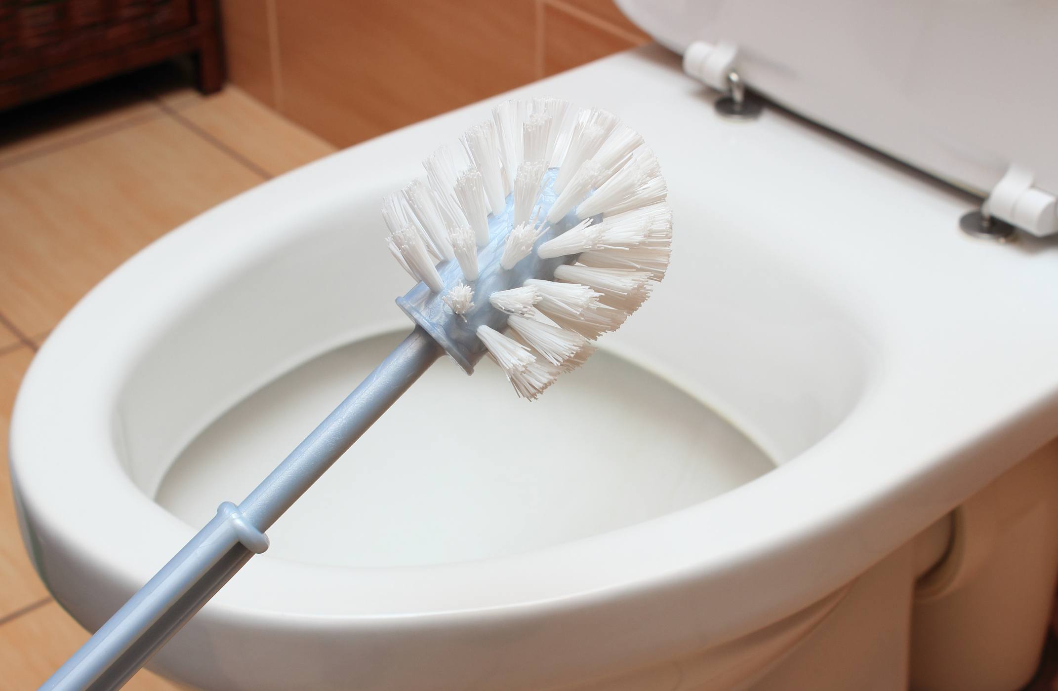 Toilet brush cleaning toilet