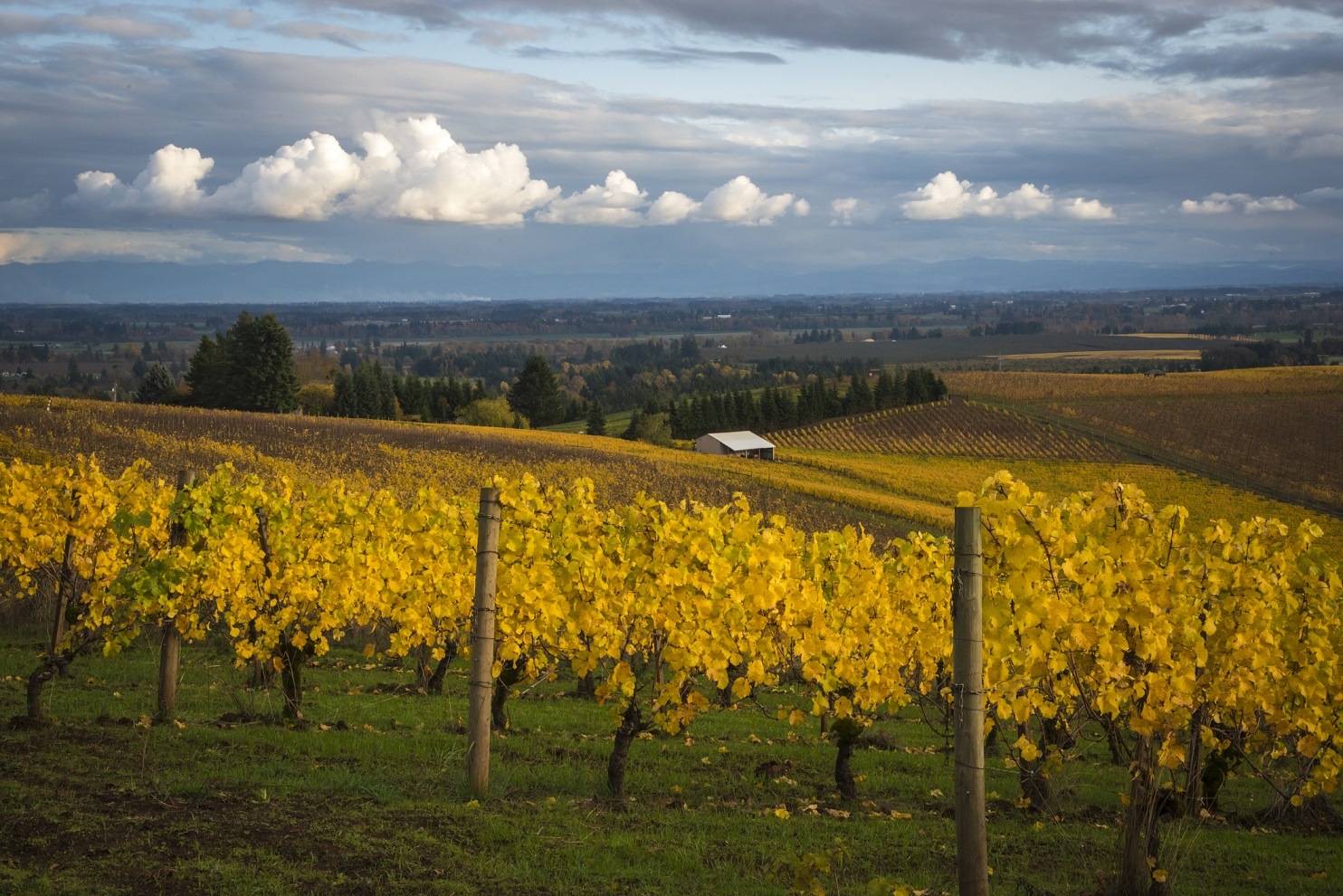 Willamette Valley, Oregon