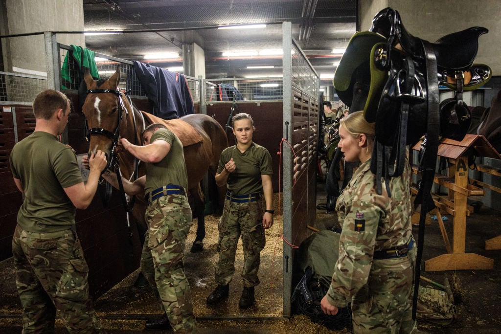 Soldiers take care of their military horses.