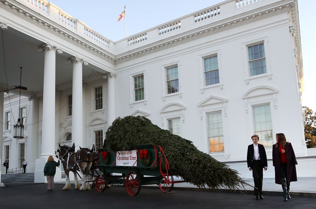 First lady Melania Trump and her son Barron inspecting Christmas Tree First lady Melania Trump and her son Barron