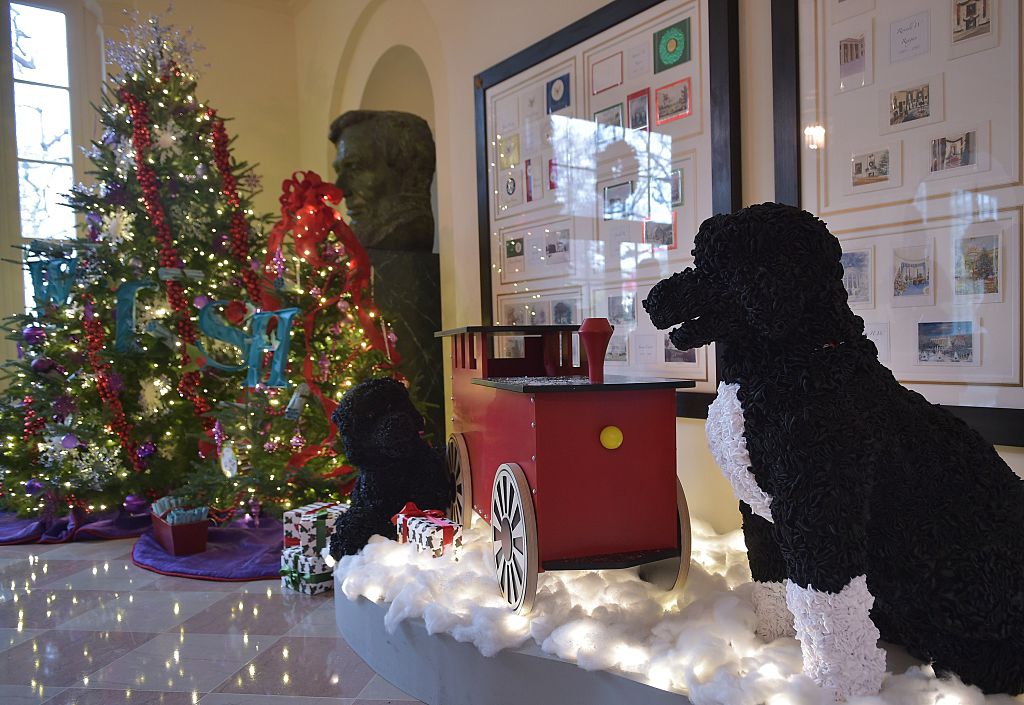 mechanized dogs in the 2014 white house mechanized dogs in the 2014 white house