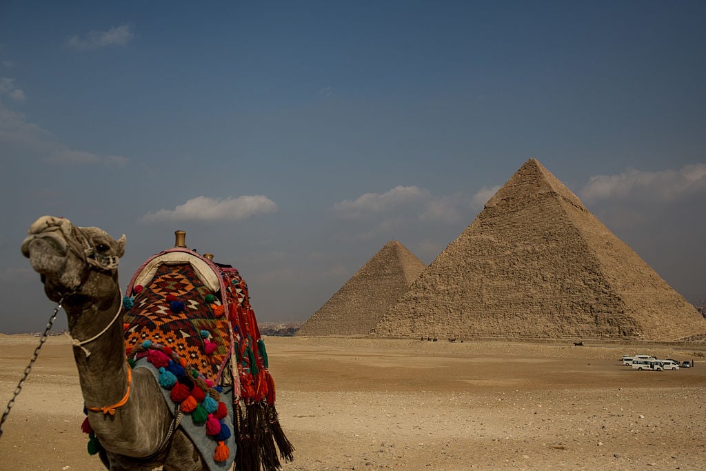 a camel outside a great pyramid
